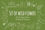 Set of wild flowers, an Object Graphic by Red_cat (Thumbnail 1 of 8)