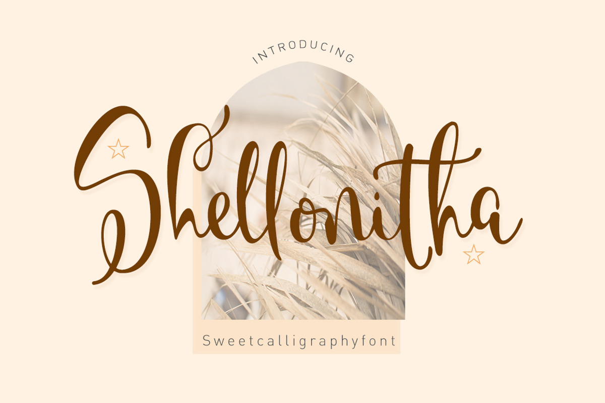 Shellonitha, a Script Font by Franstudio (Photo 1 of 9)