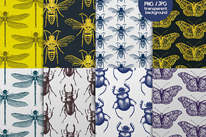 5 Hand-drawn Insects & Patterns