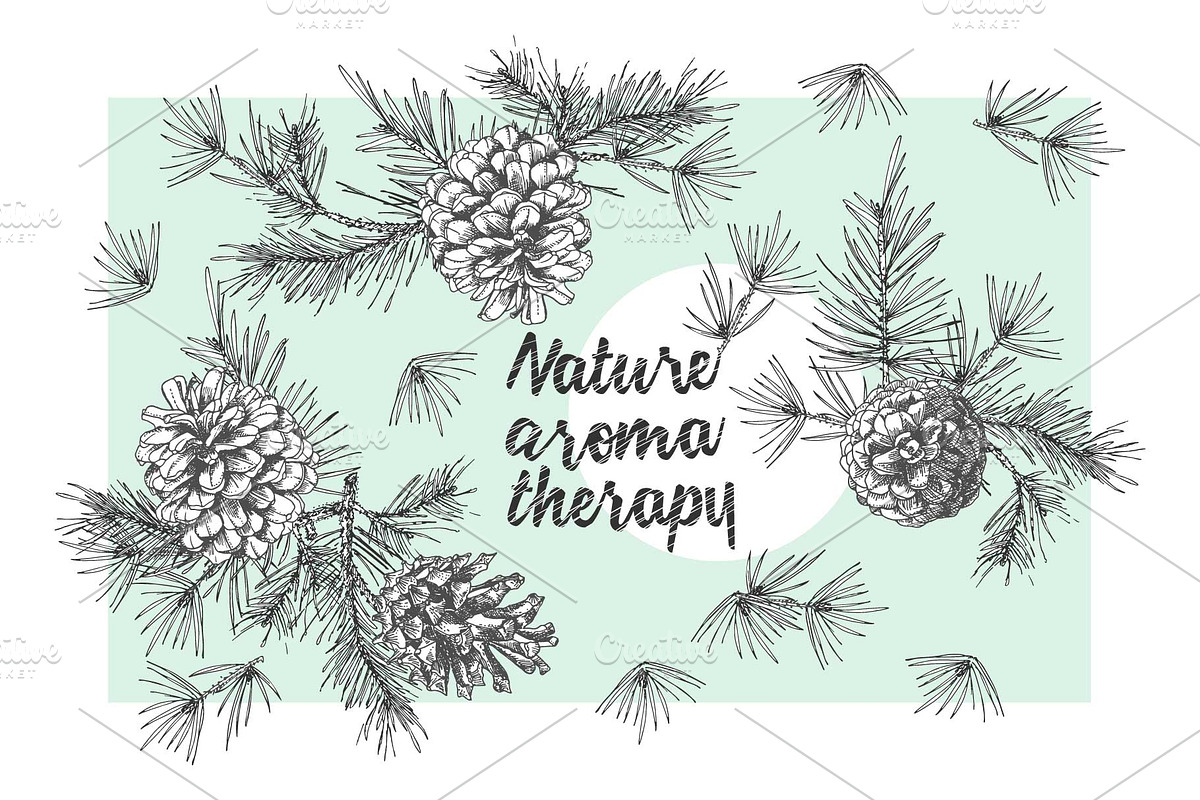 Hand drawn sketch fir with pinecone, a Decorative Illustration by Zimages (Photo 5 of 7)