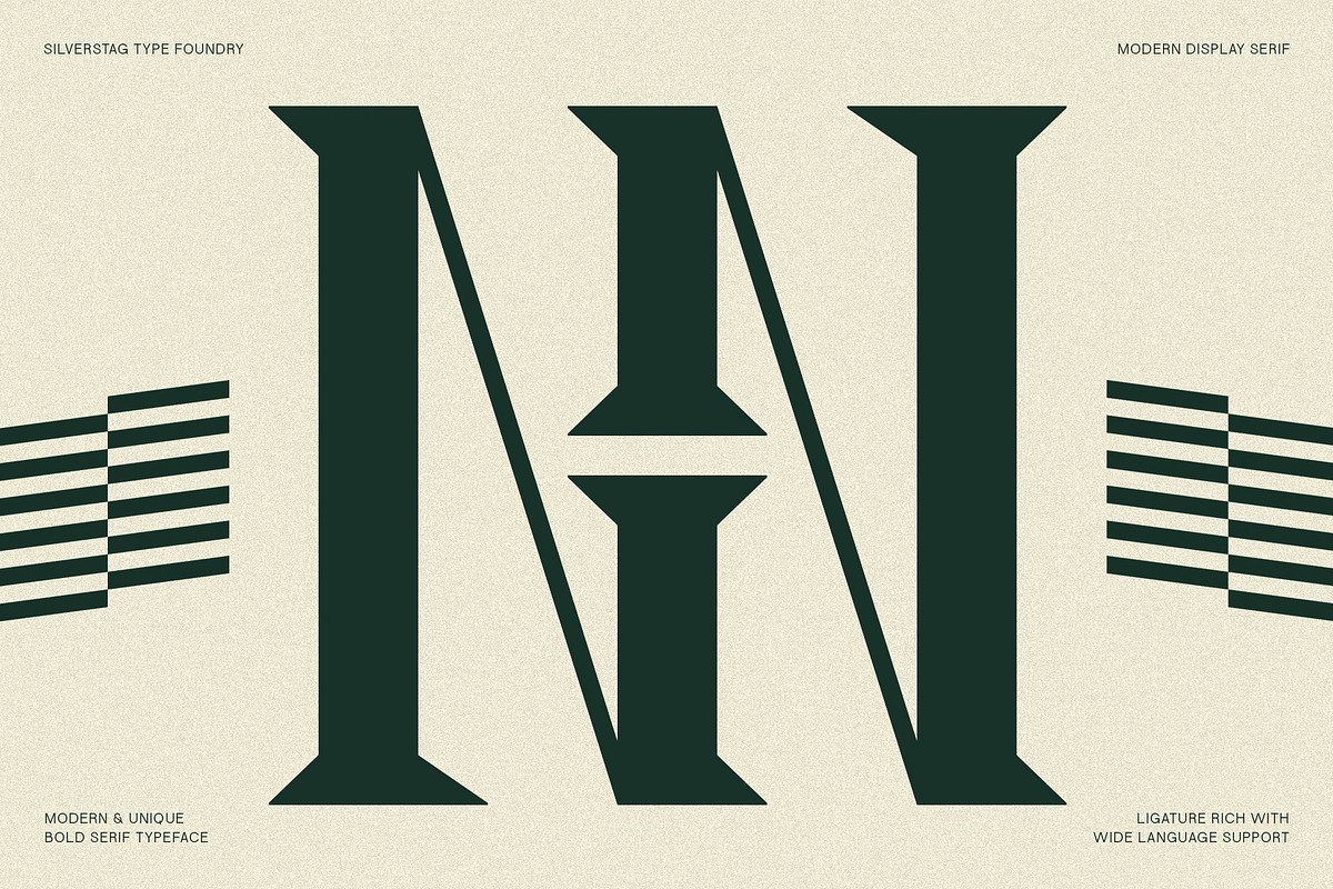 Tangled Rockaway Vintage Serif Font, a Serif Font by SilverStag Type Foundry (Photo 7 of 18)