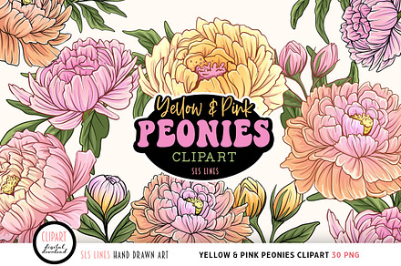 Peony Clipart Yellow & Pink
