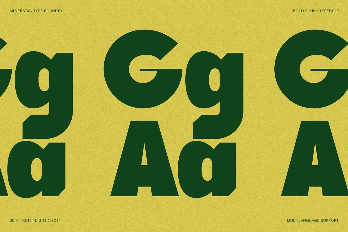 SLTF Tight Flight - Bold Funky Font, a Sans Serif Font by SilverStag Type Foundry (Photo 8 of 19)