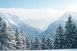 Snowy winter landscape featuring sno, a Photo by Iftikhar Alam
