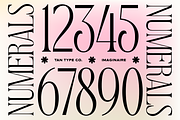 TAN - IMAGINAIRE, a Serif Font by TanType (Thumbnail 7 of 12)