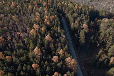 Curve asphalt road with cars between autumn forest in Ural
