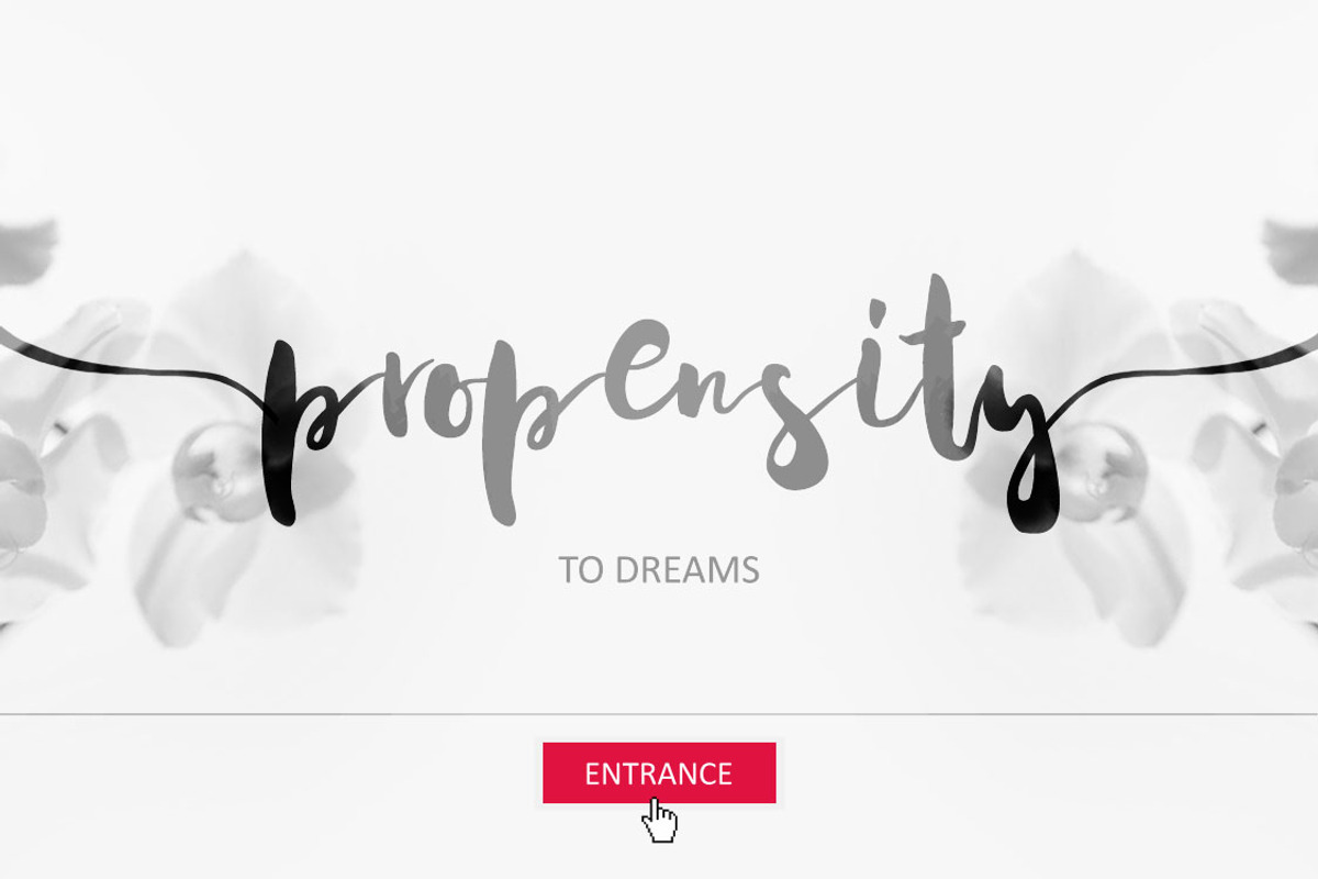 Acquainted Script Brush Font preview 3