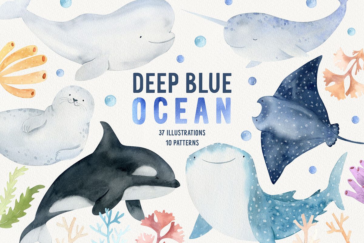 Ocean & Under the sea animal clipart, an Animal Illustration by Watercolor Nastasia Art (Photo 1 of 10)