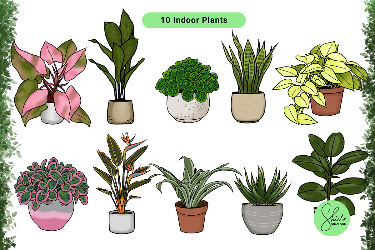 Indoor Plants Cliparts - Colored Set, an Object Illustration by shielscreations (Photo 2 of 3)