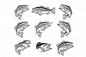 Bold bass fish vector illustrations, an Animal Illustration by yod67