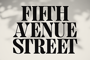 MTC Granfise - A Unique Serif, a Serif Font by Martype (Thumbnail 6 of 12)
