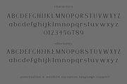 Fade to Darkness Serif, a Serif Font by Beck McCormick (Thumbnail 10 of 10)