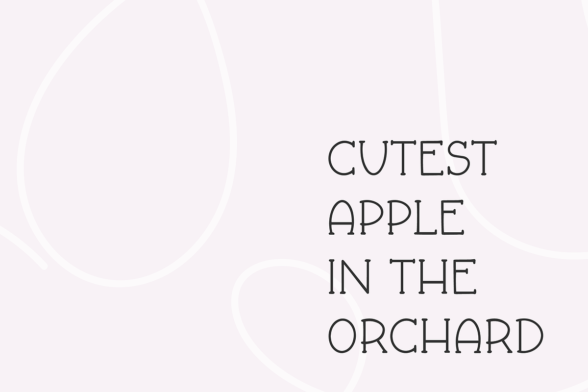 FALL & FLAIR Farmhouse Serif Font, a Serif Font by Blush Font Co. (Photo 6 of 6)