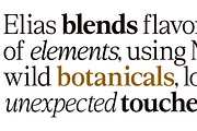 Rosemeri — MODERN EDITORIAL SERIF, a Serif Font by InkwellTypeCo (Thumbnail 5 of 19)