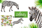 Watercolor zebras and plants., an Animal Illustration by yulia.sukhanova (Thumbnail 1 of 3)