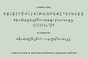 Pineblossom Script, a Handwritten Font by Beck McCormick (Thumbnail 8 of 8)