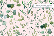Herbal watercolor collection, a Pattern Graphic by HannaStudio (Thumbnail 3 of 8)