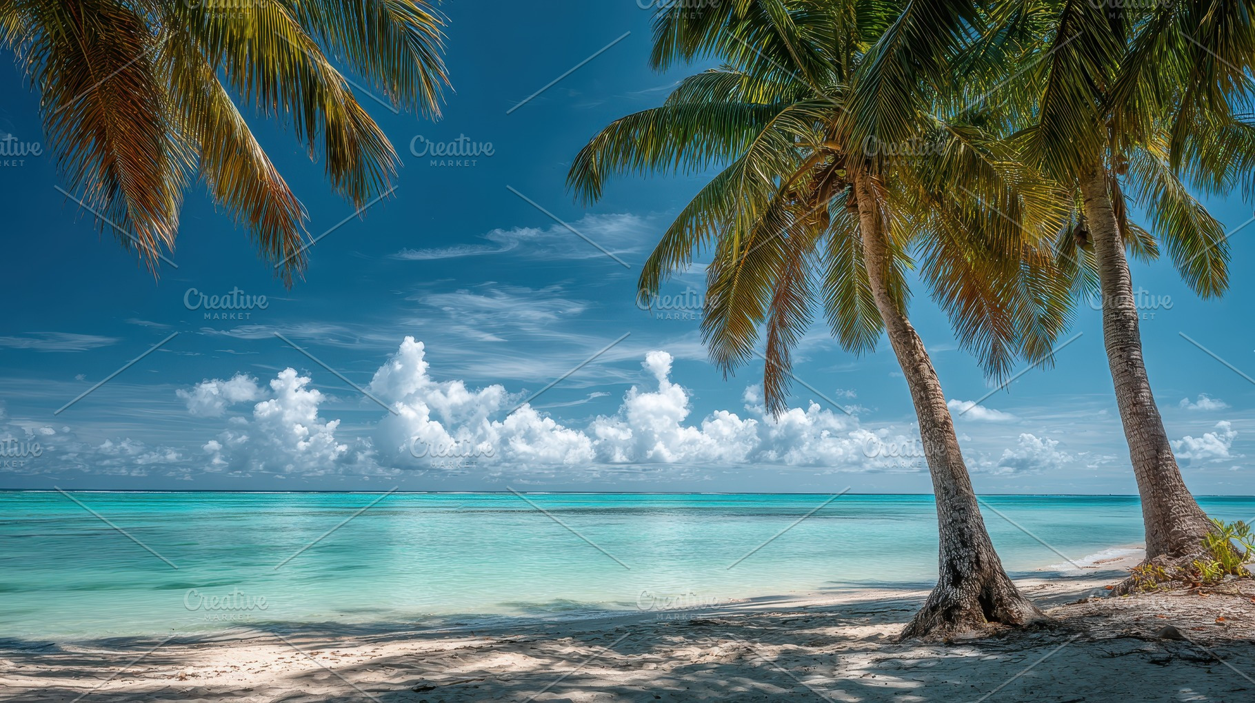 Beautiful beach scene with palm tree, a Photo by Pavel_design