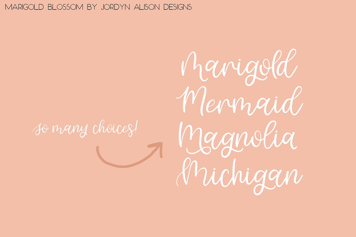 Marigold Blossom Script Font preview 5