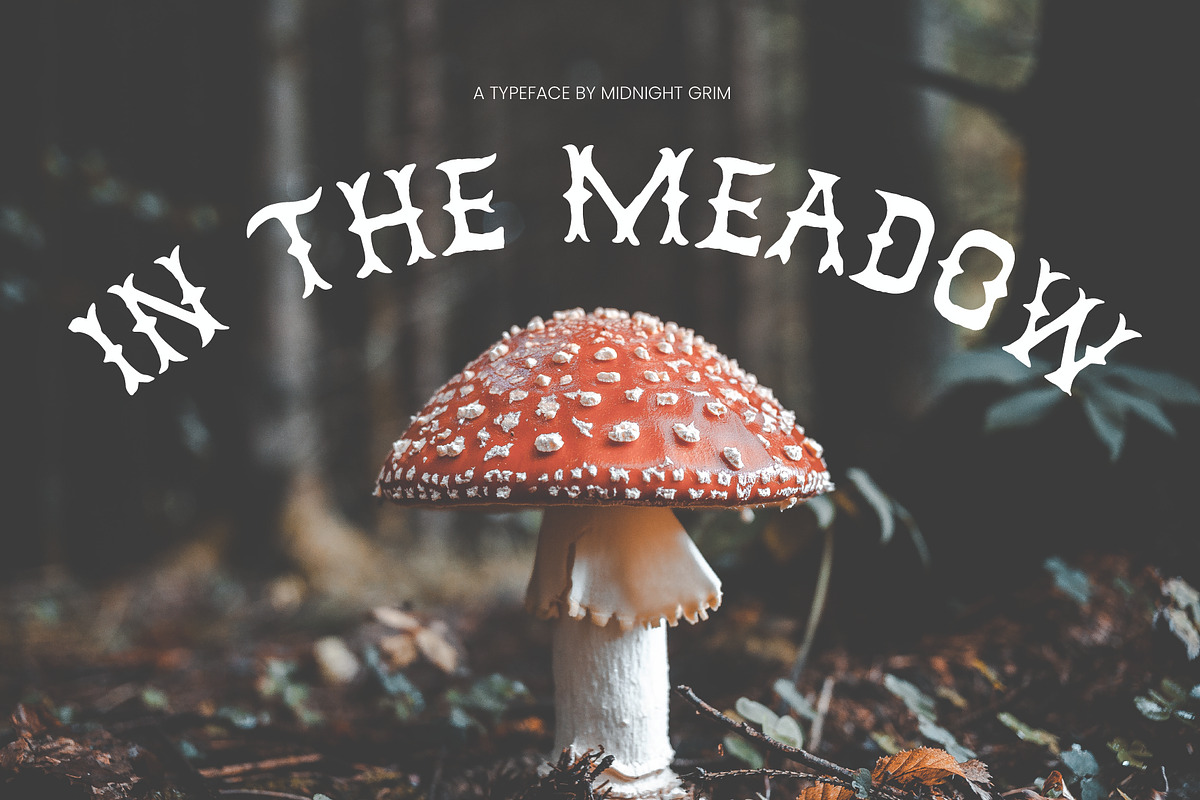In the Meadow, a Serif Font by Midnight Grim (Photo 1 of 8)