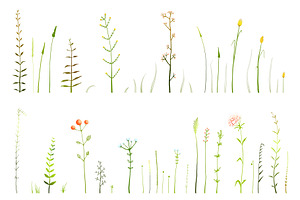 Wild Grass & Herbs Vector Brushes