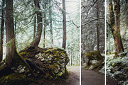 MILLION OF GREEN-Set of 20presets Lr, an Action Add-On by Graphics, Presets, Photos (Thumbnail 3 of 21)