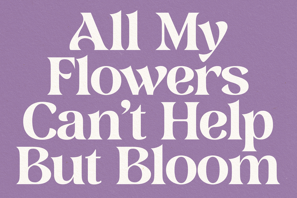Postre -Stylish Serif, a Serif Font by Fenotype (Photo 12 of 16)