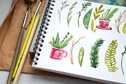 Christmas Herbal watercolor set, a Decorative Illustration by Olesya Morokhovets (Thumbnail 3 of 7)