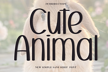 Cute Animal