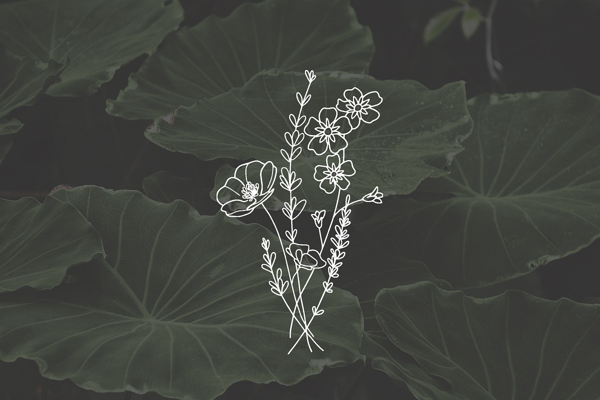 PSD 6 Hand Drawn Wildflower Elements, an Illustration by Bilbie Artwork (Photo 2 of 7)