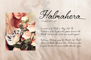 Amantta Script Font, a Script Font by BumbleGraph Studio (Thumbnail 4 of 10)