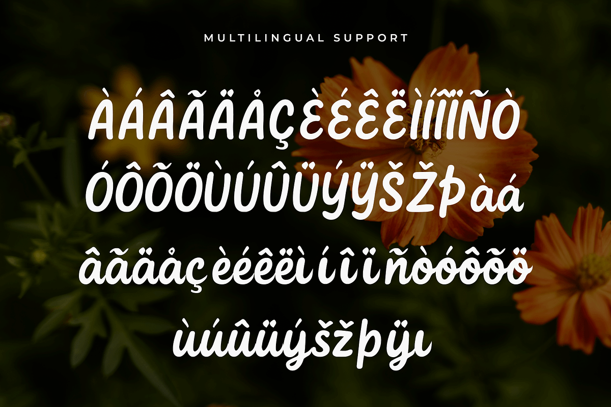 Calliora – Modern Handwritten Font, a Handwritten Font by overlaytemplates (Photo 5 of 5)
