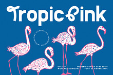 Tropic Pink Display Sans Serif