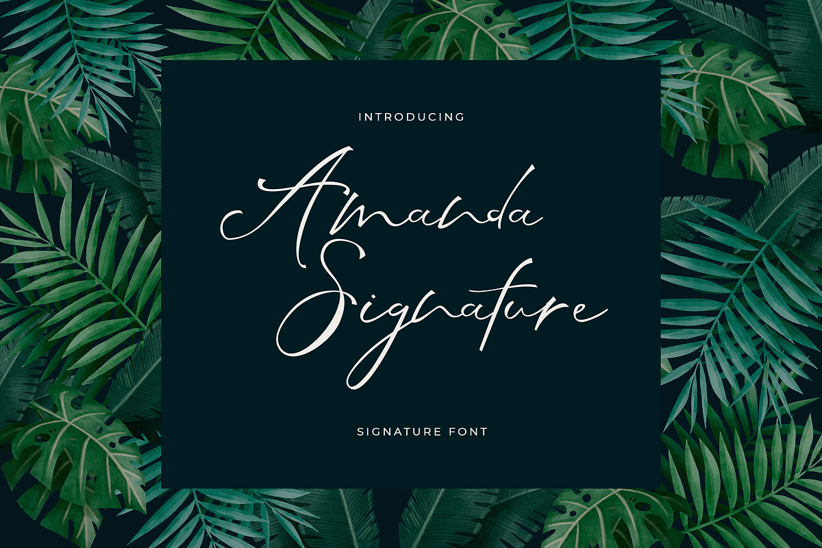 Amanda Signature Handwritten Font, a Script Font by UICreative (Photo 1 of 5)
