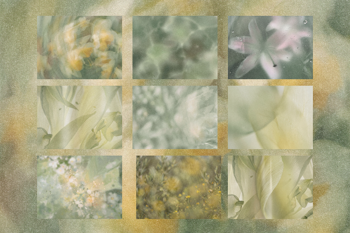 Sage Reverie, a Background Graphic by Lilithcollageart (Photo 8 of 9)