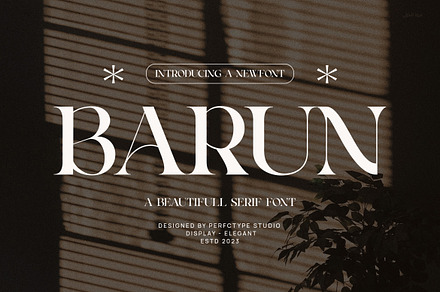 Barun Elegant Serif Font Typeface, a Serif Font by Perfectype