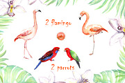 Exotic flowers watercolor clipart, an Animal Illustration by Where summer is (Thumbnail 4 of 7)