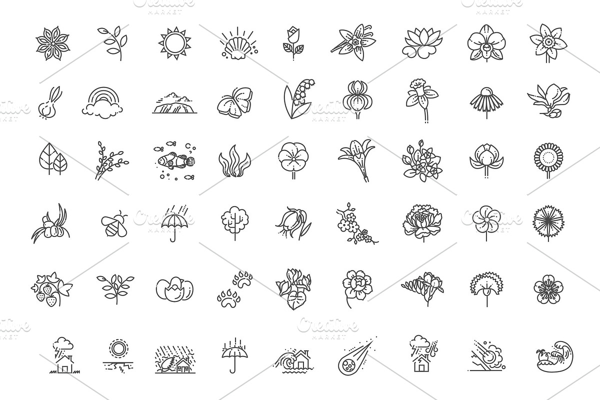 Big natural icon set, an Outline Icon by Tettygreen (Photo 2 of 4)