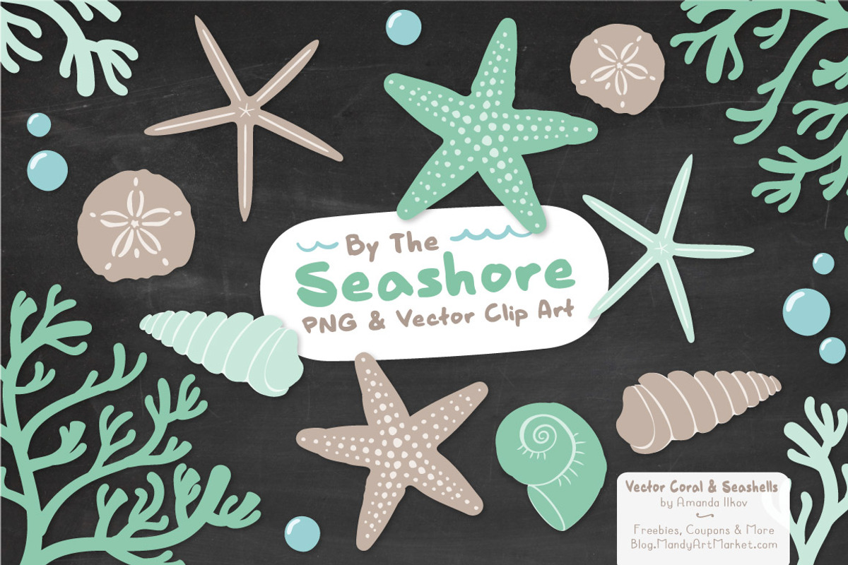 Seashells Clipart in Mint, an Illustration by Amanda Ilkov (Photo 3 of 5)