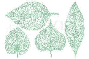 Green vein leaves, vector set