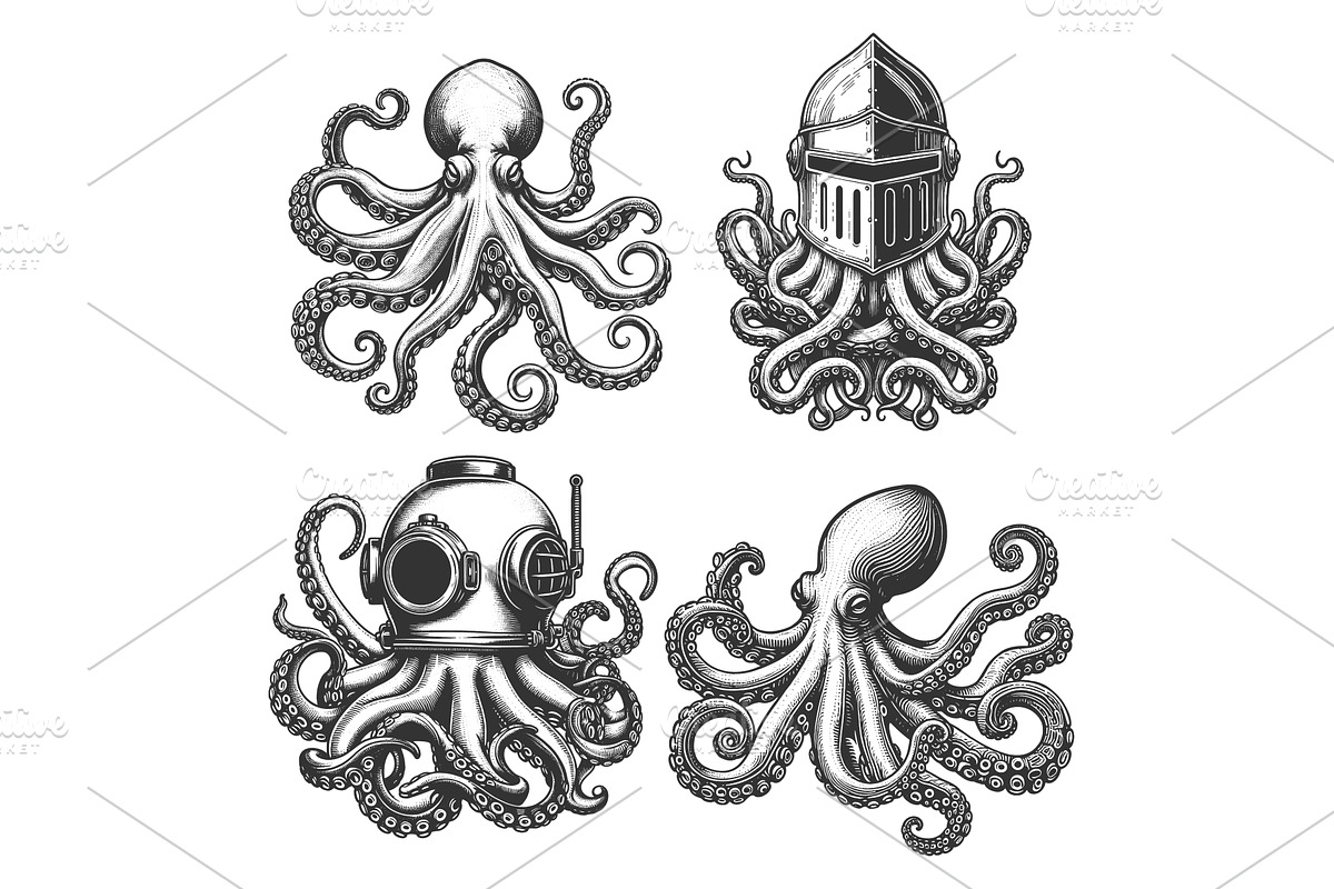Octopus engraving set vector, an Animal Illustration by AlexArt