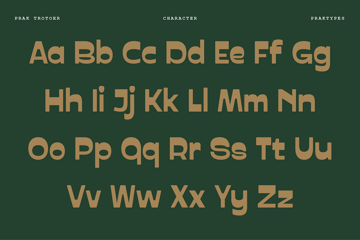 PRAK Trotoer - Vintage Display Font, a Sans Serif Font by Healltica.std (Photo 2 of 27)