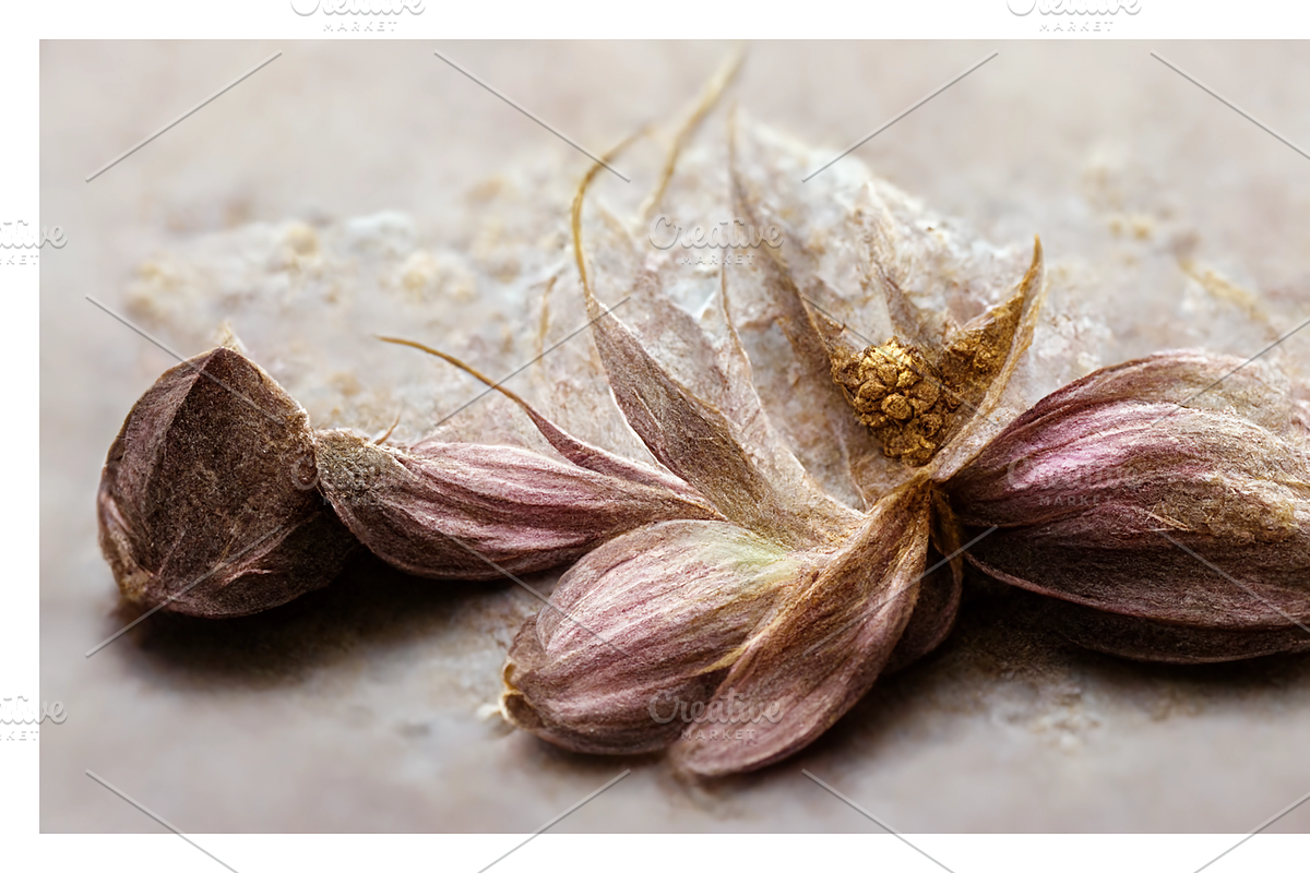 Deli (2) Collection · Textured Bloom, a Decorative Illustration by milatovar (Photo 12 of 16)