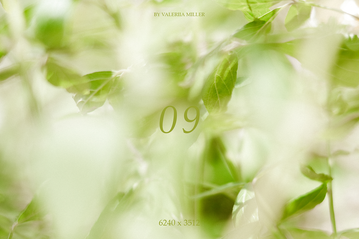 10 NATURAL BACKGROUNDS, a Background Photo by Valeriia Miller (Photo 10 of 11)