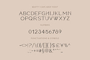 Modern ligature-rich font, a Serif Font by elvinova (Thumbnail 15 of 18)