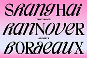 TAN - ARCHIEVE, a Serif Font by TanType (Thumbnail 6 of 11)