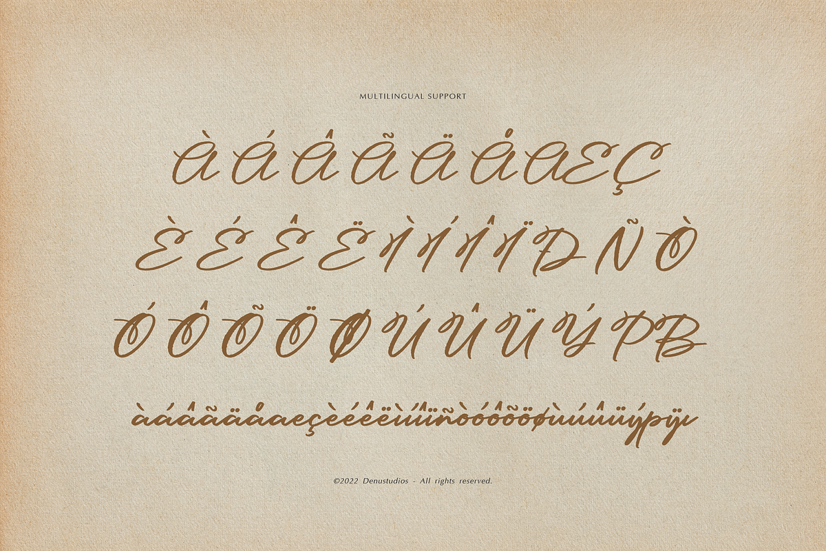 Larickson Fracture Script, a Script Font by Denustudios (Photo 12 of 12)