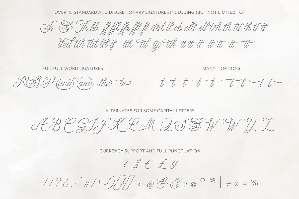 Ellabette Script Font, a Script Font by Scotti Cline Designs (Photo 4 of 8)