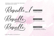 Roseville Script, a Script Font by Letterhend Studio (Thumbnail 4 of 10)
