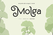 Molga font, a Font by creativemedialab (Thumbnail 1 of 8)